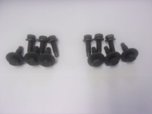 Lower Door Hinge Bolt Kit